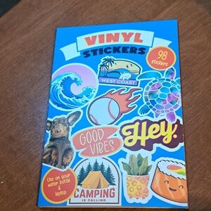 Colorful Vinyl Sticker Set 98 Ct/ BUNDLE ONLY